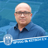 Dieter Pister, Vizepräsident